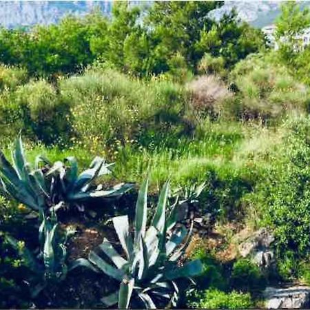 Apartment Mila Makarska Eksteriør bilde